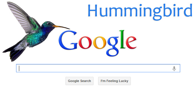 Google Hummingbird Update: Adapting to the New SEO Landscape